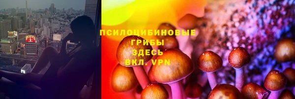 герыч Вяземский