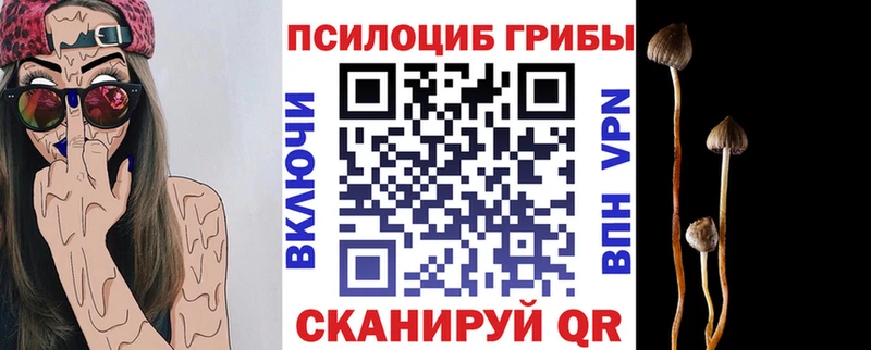 сайты даркнета как зайти  Оханск  Псилоцибиновые грибы ЛСД 
